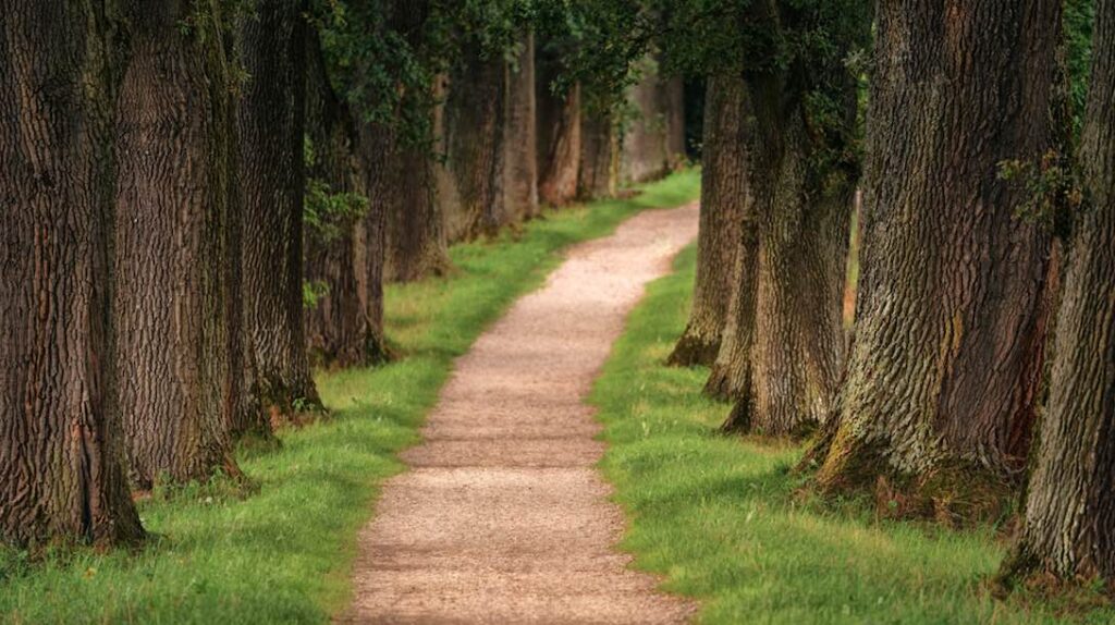 beautiful pathway.