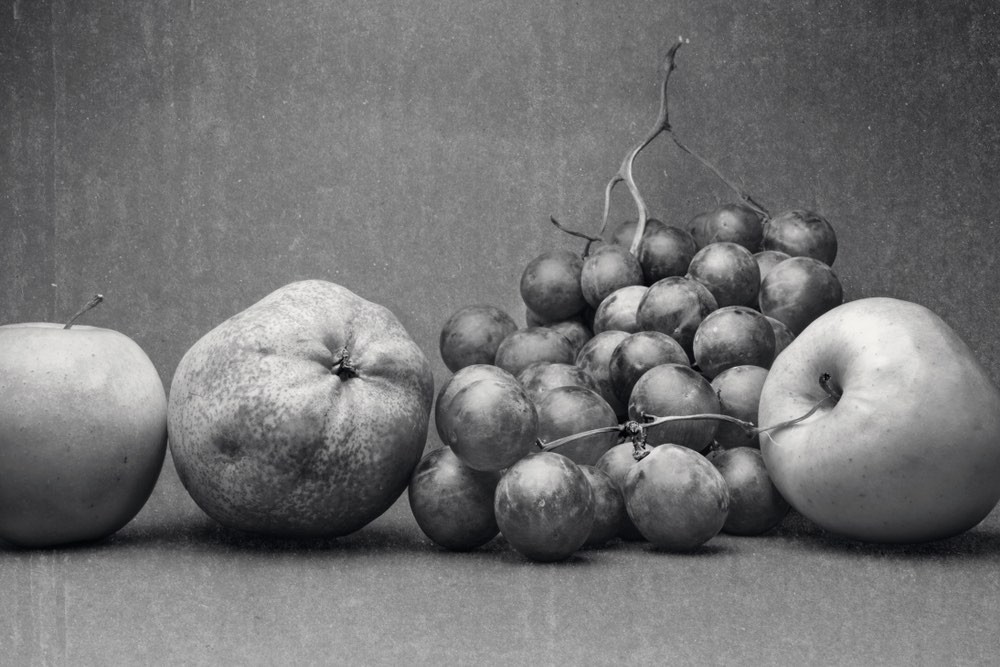 black and white still life photography.