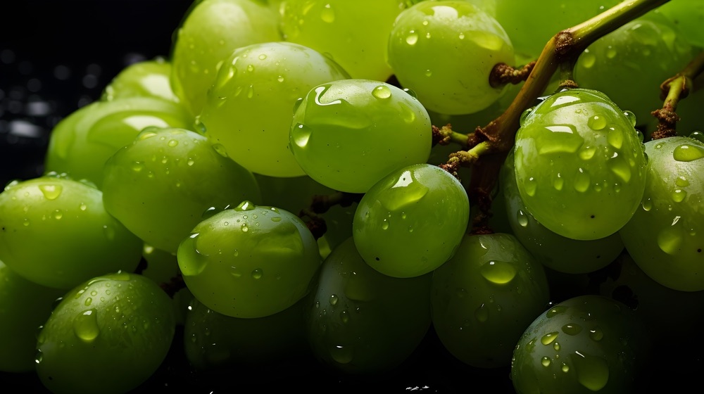 A cluster of grapes are shot with the close up angle to accentuate the water droplets that have built up on them. 