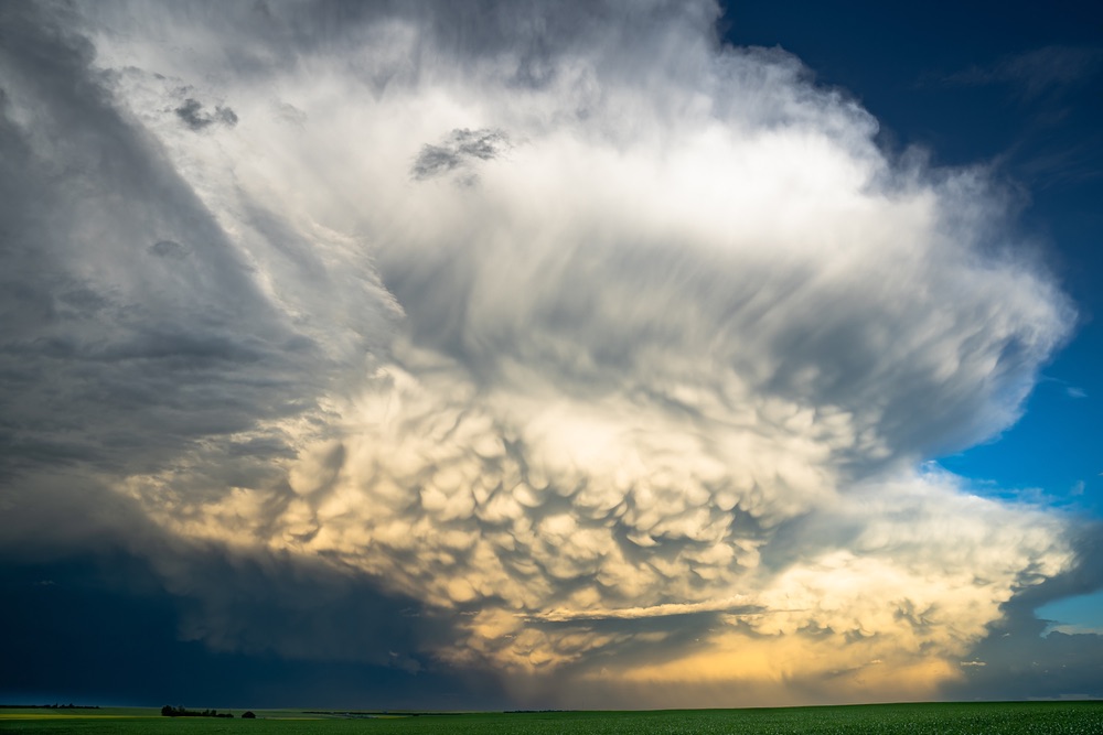 This is a close up shot of a storm cloud making its way across a field.