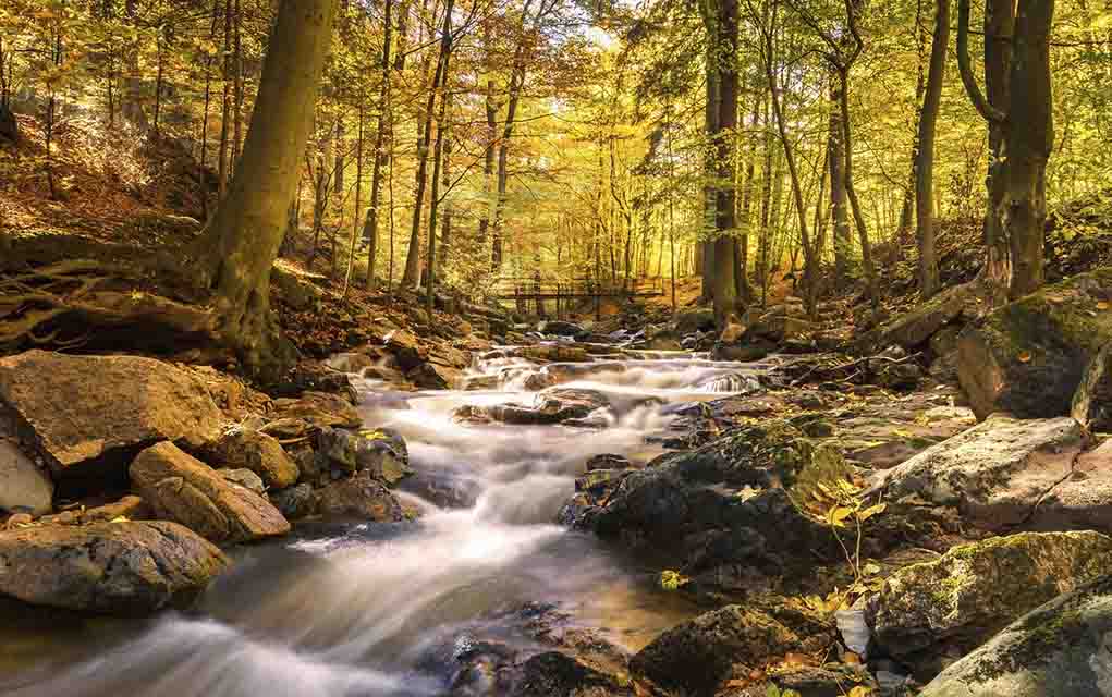 long exposure stream and fall colors.