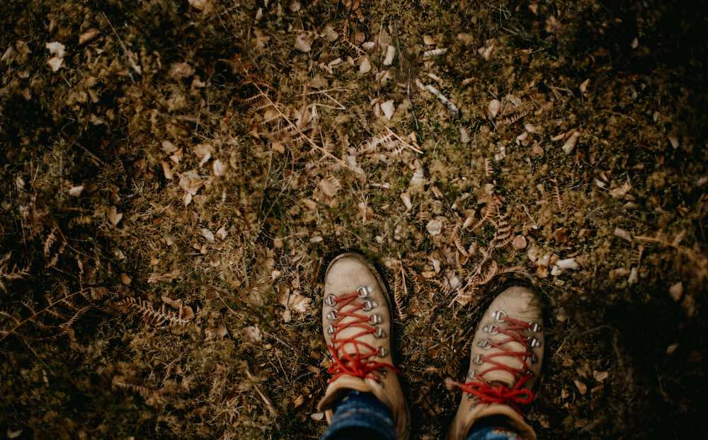 view of hiking boots and dried leaves in a forest.