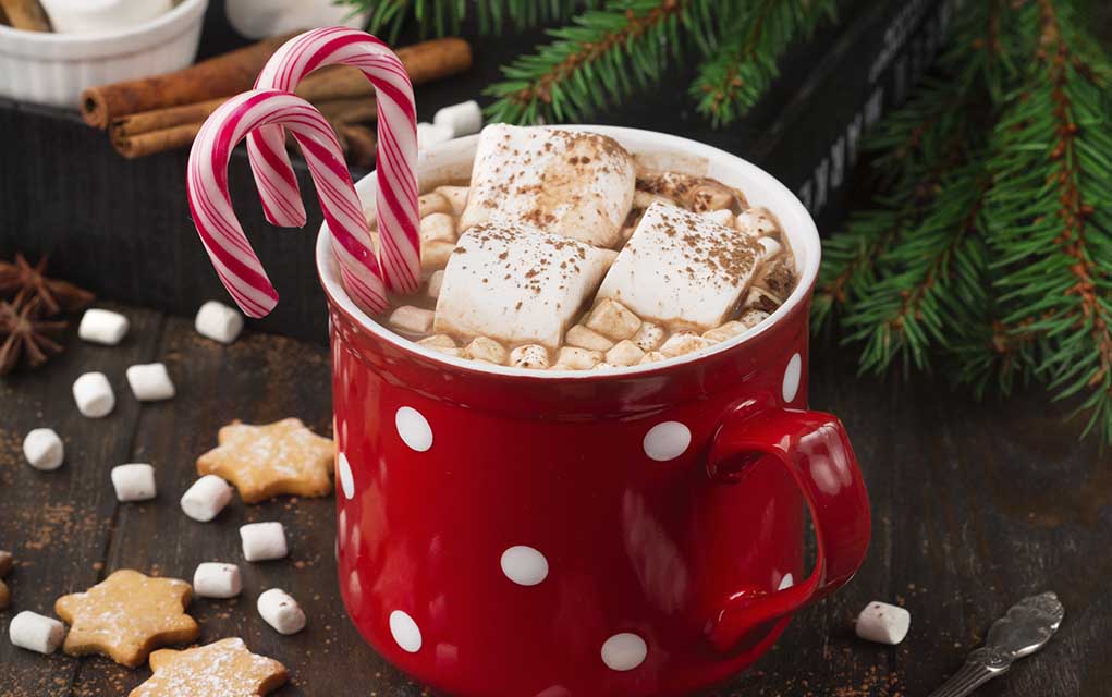 holiday photos hot chocolate in mug