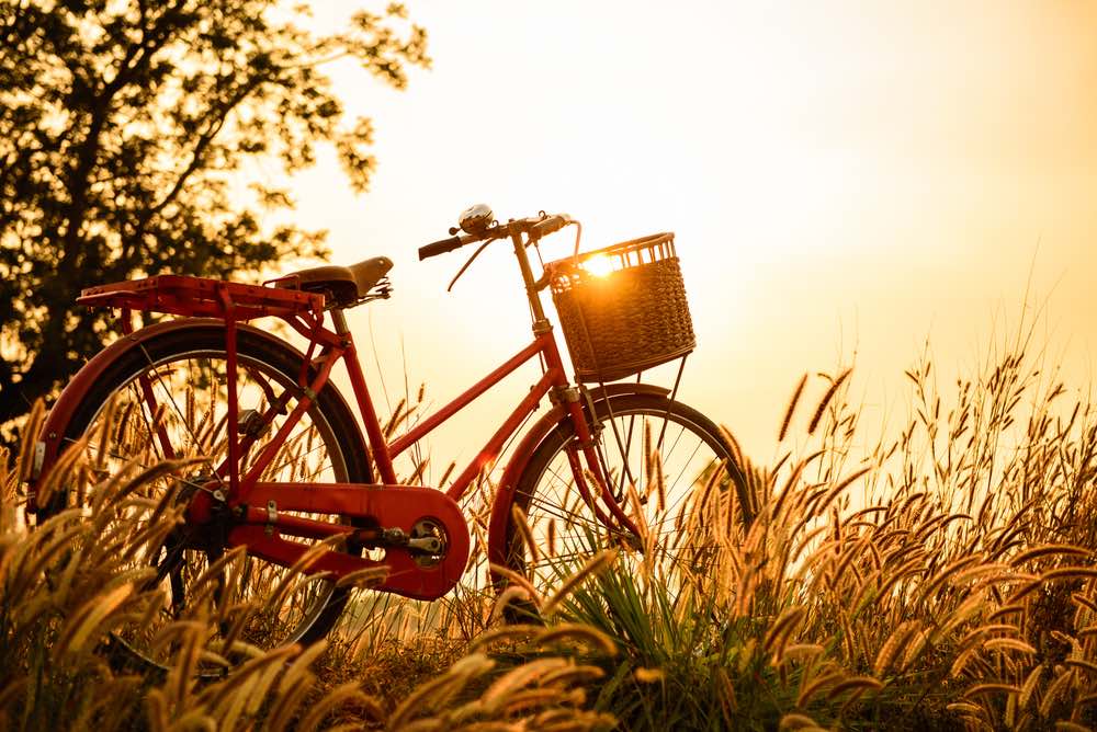 A Dutch bicycle standing in a grassy field. Sunset photography invoking relaxation and pleasure.