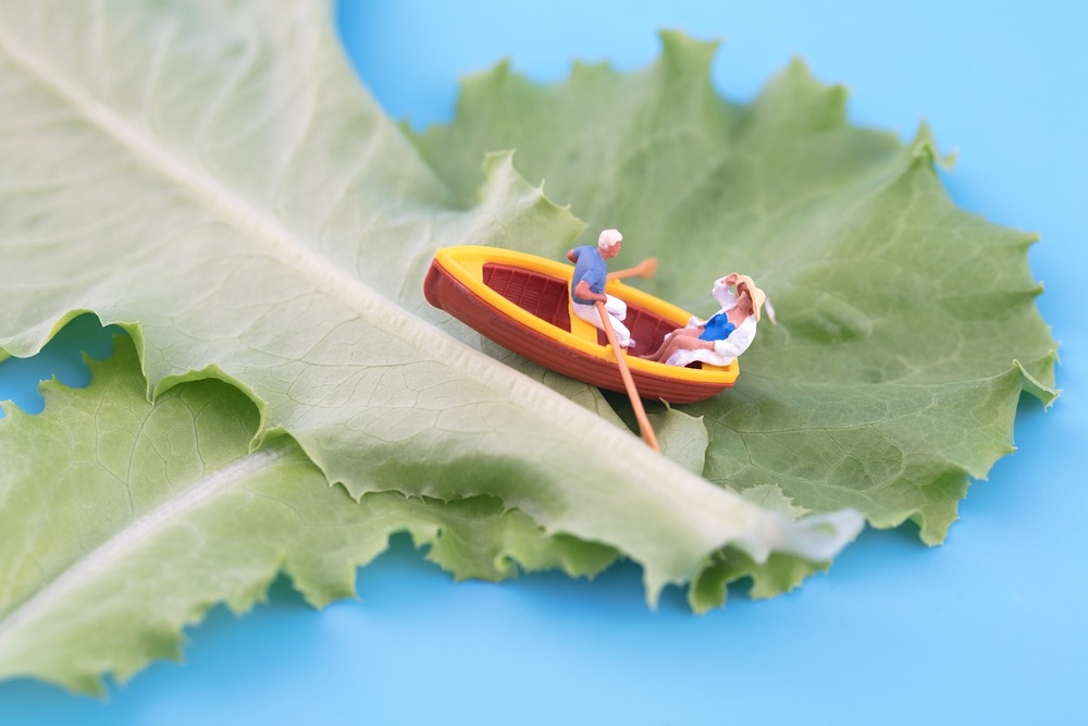A miniature scene of an elderly couple rowing their boat through a sea of leaves. Abstract miniature photography.