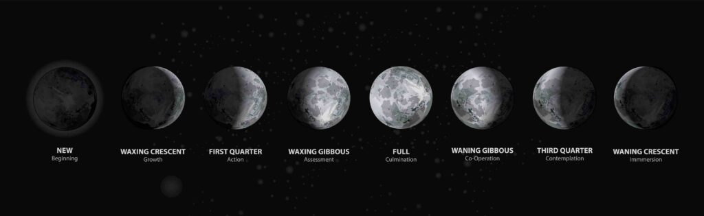 Infographic of the different moon phases.