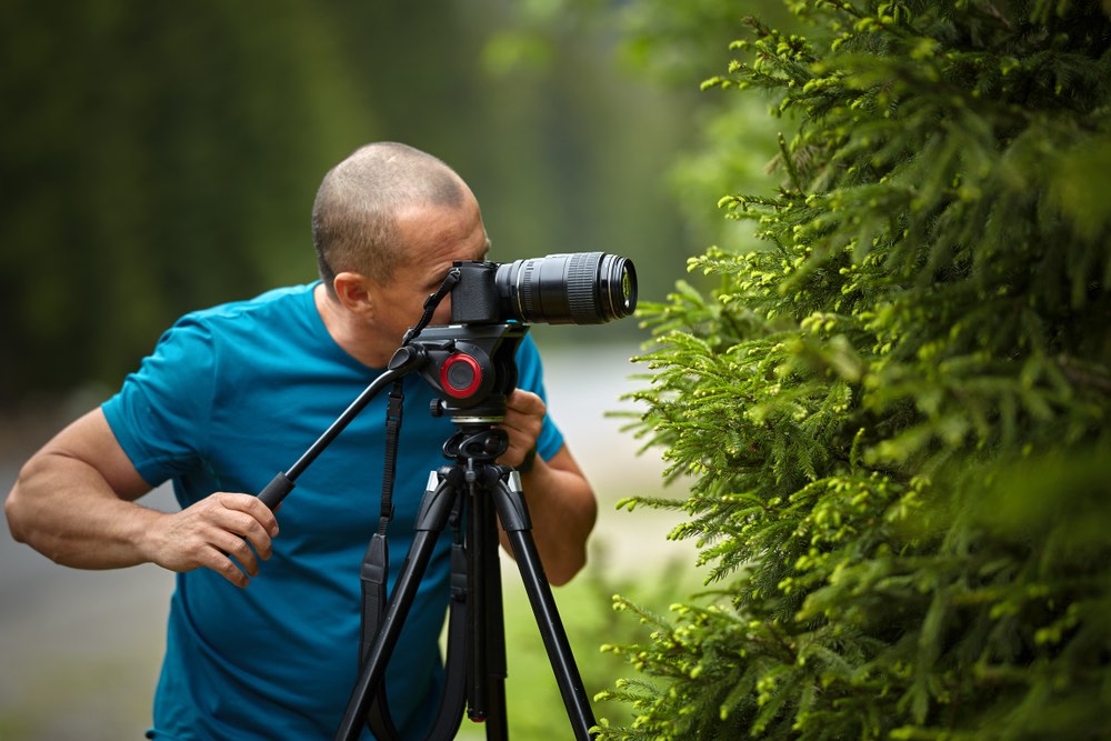 A macro photographer composing with the help of a tripod. Stabilized close-up photography of plants.