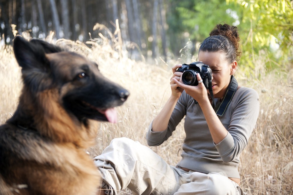 pet photographer taking pictures of a dog.
