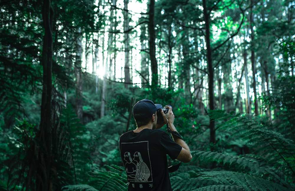 creative photographer taking pictures in a jungle.