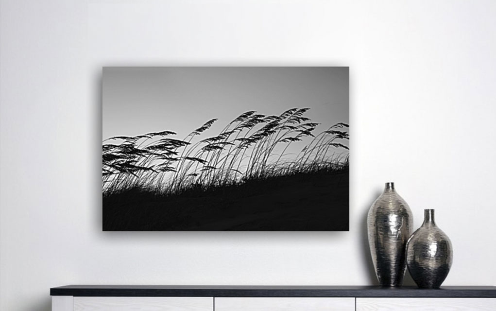 sea oats wall art photography print.