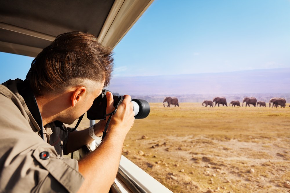 A man documents wildlife from a lookout point using a DSLR. An example of ethical wildlife photography practices, using distance and location to prevent disturbing animal subjects.
