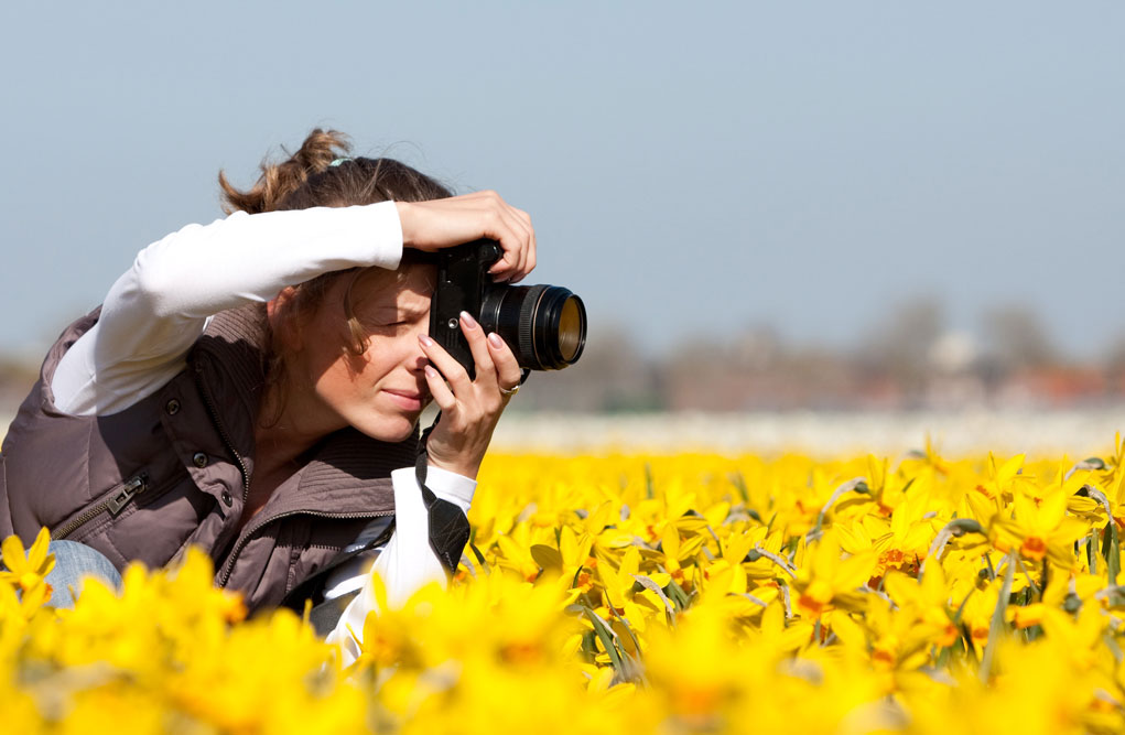 photographer taking landscape photos in a field of yellow flowers.